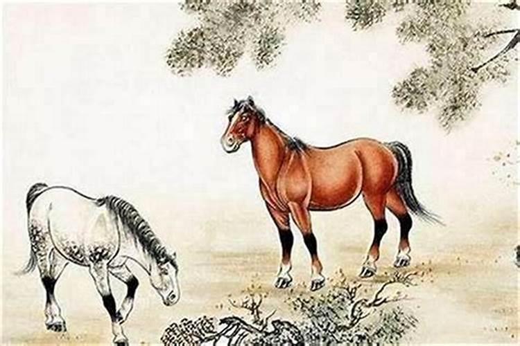 五马六猴是什么意思？
