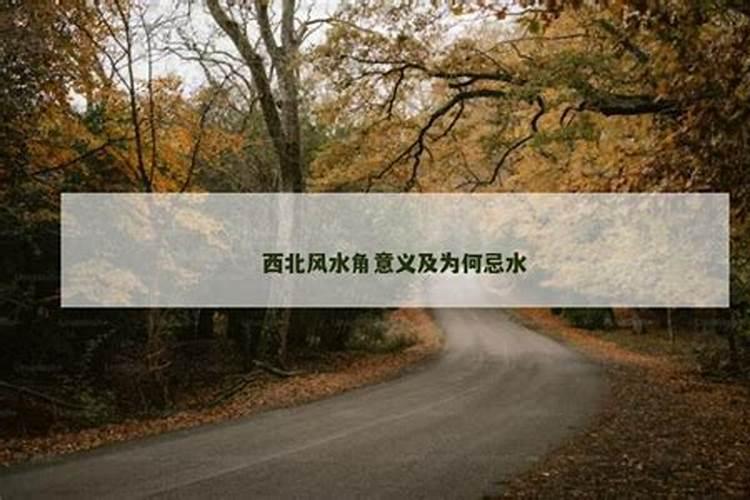 古代的鼎是用来干什么的