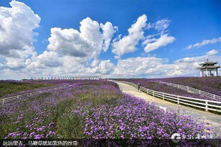 贵阳十大公墓 贵阳公墓哪个风水好 贵阳陵园墓地有哪些
