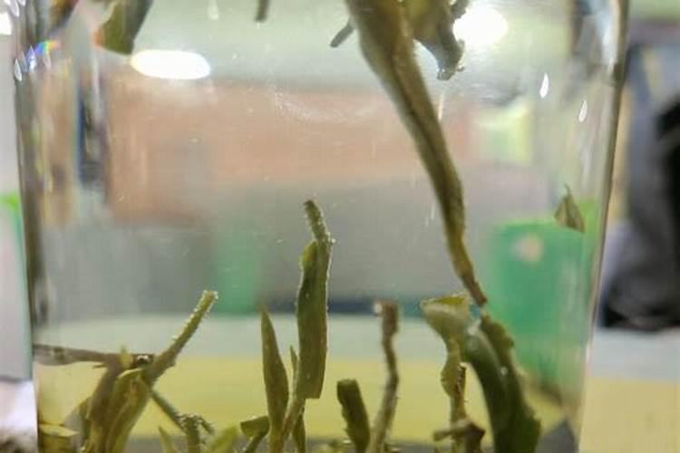 桂平社区广西第一古塔东塔
