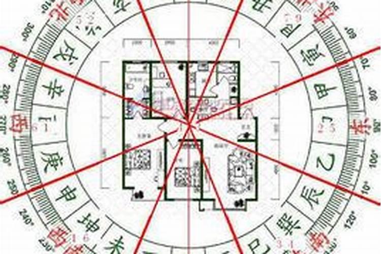 吴仙姑个人简介