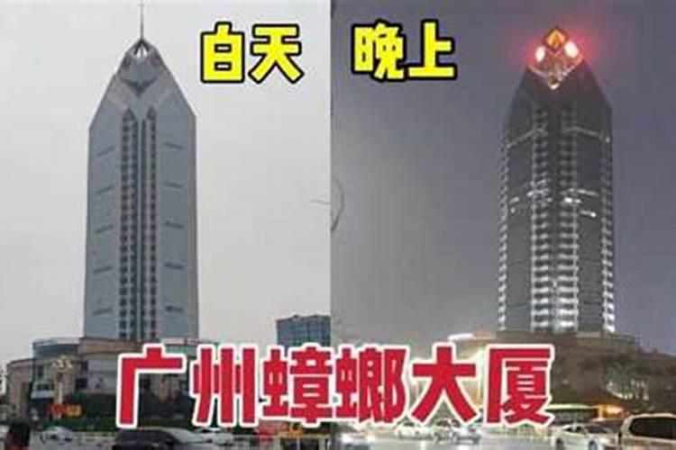 蟑螂在风水学上代表什么