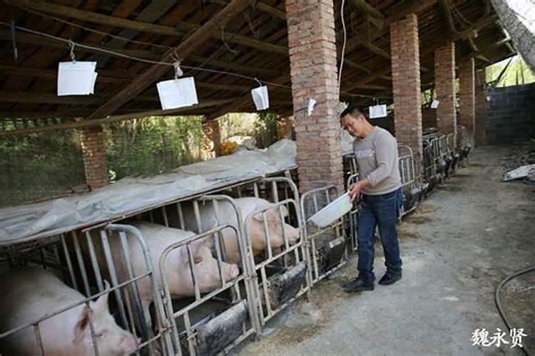 墓地破土口诀最简单三个步骤