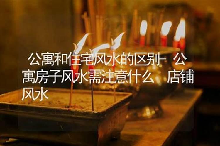 店面商铺风水布局如何布置旺财