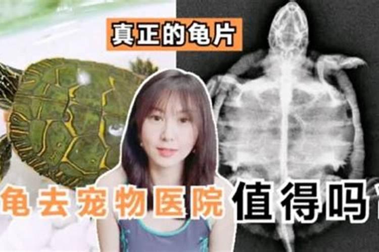 “昨天是历史,明天是未知,今天是礼物”这句话出自哪里