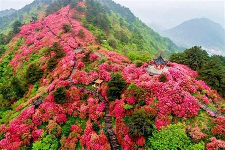 我买了一块门口地垫出入平安从家里看字是顺的还是外面看起来是顺字