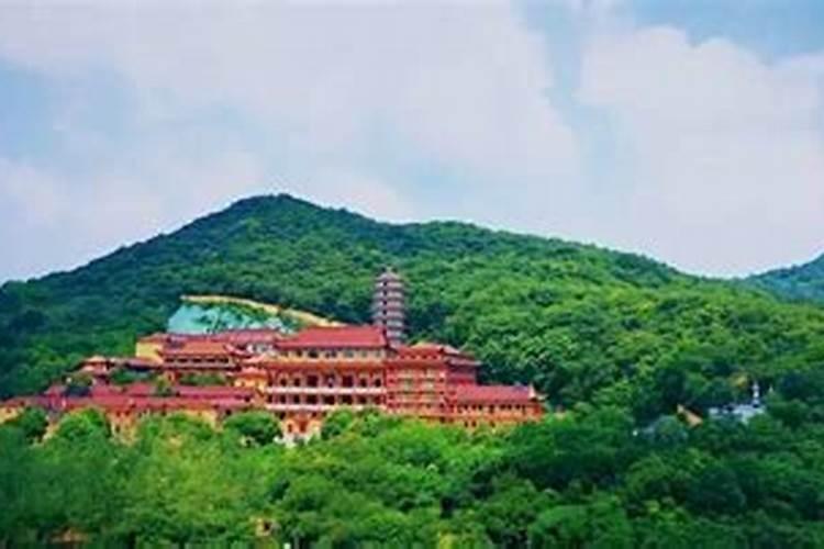 北面卧室适合养什么花