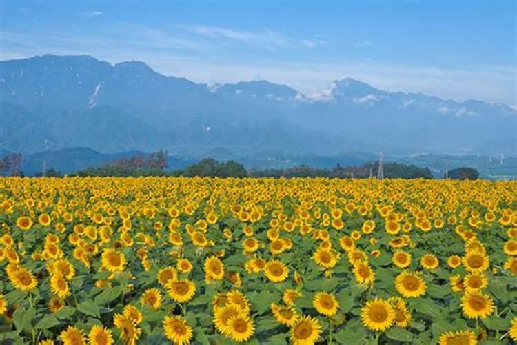 家庭风水方位 住宅的正确朝向