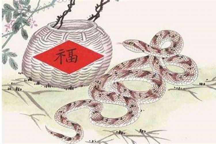 属蛇的家中不能摆什么