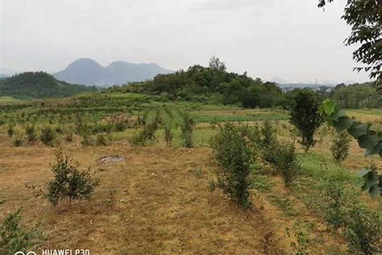 谁有5800的锥坡放样程序啊,或者专门放锥坡的程序？锥坡太难放了!百...