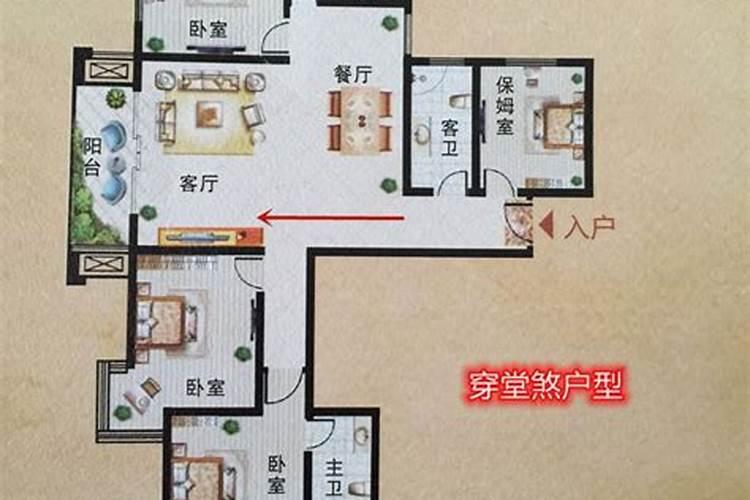 金毛犬有啥特长能够帮人做什么？