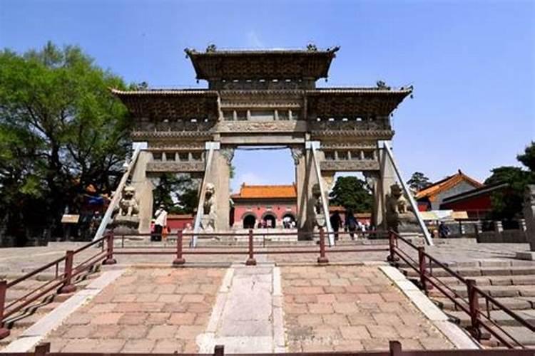 金毛狗的特点是什么