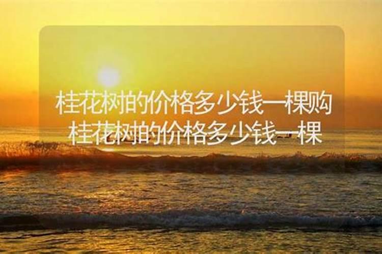 青岛最有名的起名大师颜廷利山东济南著名的人物收费多少？