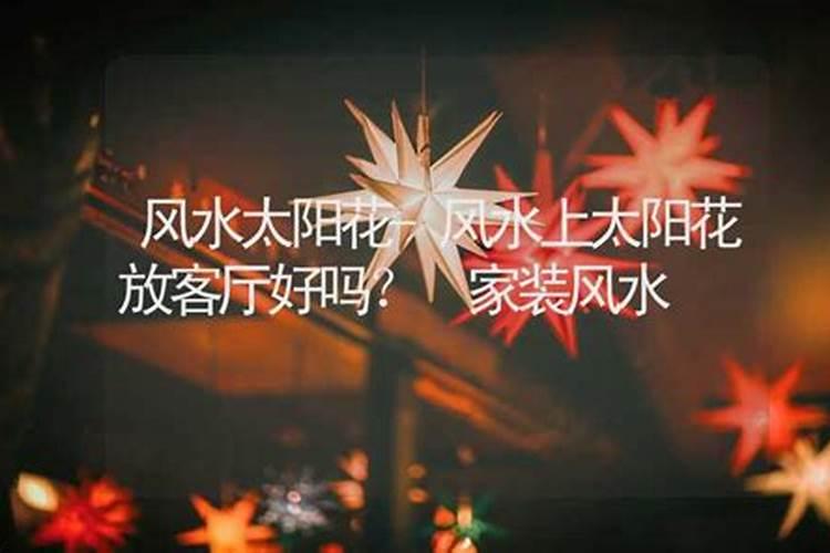 太阳花是吉花还是凶花