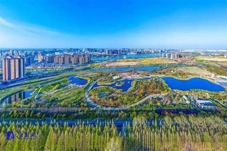养鸟有什么风水讲究吗