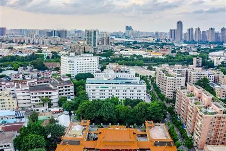 陈益峰:点穴、立向和日课,哪个最重要？