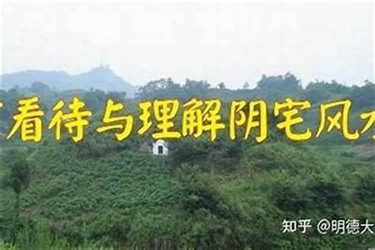风水大师本地姜的故事,高州风水大师文超良简介