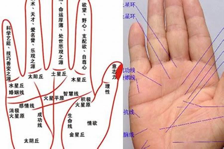 中国现在真正有实战经验的顶级风水专家是谁