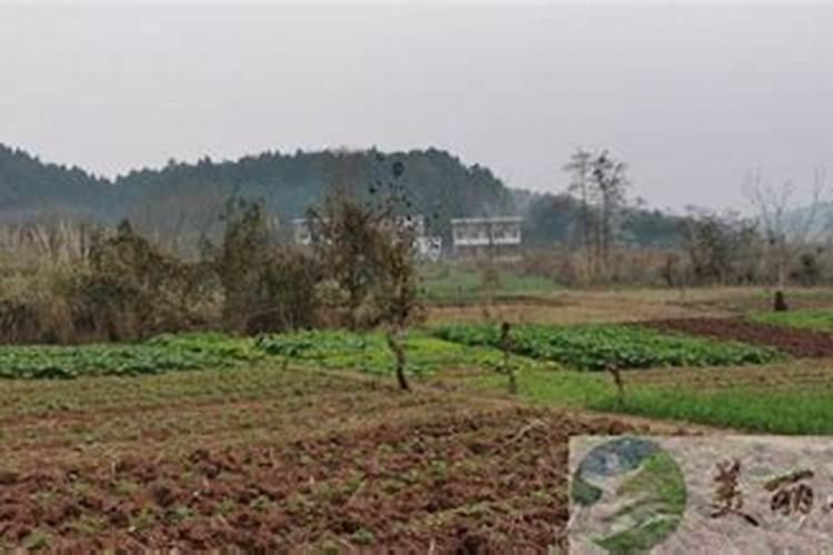 选择阴宅需要注意什么