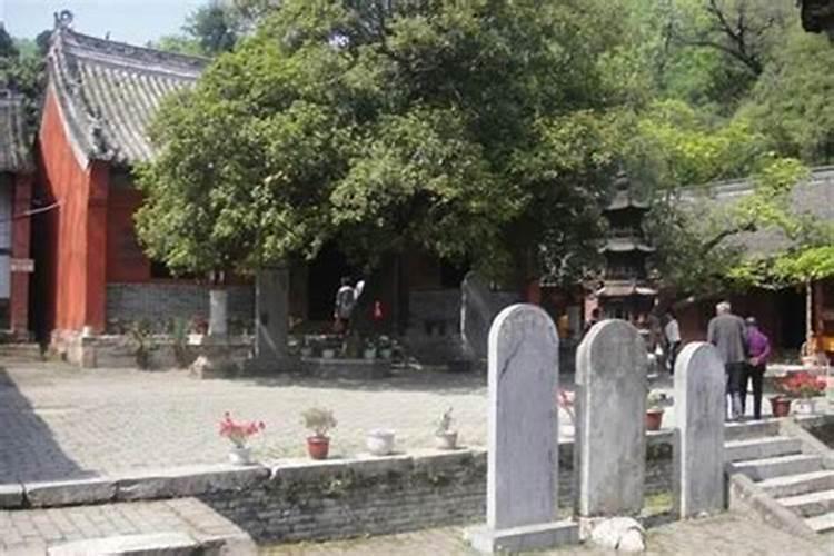 谁知道南阳谁算命算的好,知道的说下
