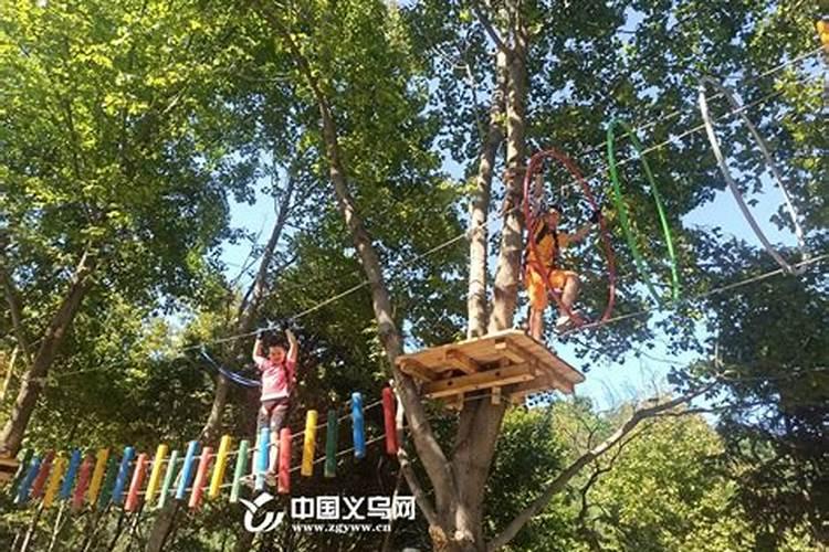 西樵山旅游攻略自助游西樵山旅游攻略自助游线路