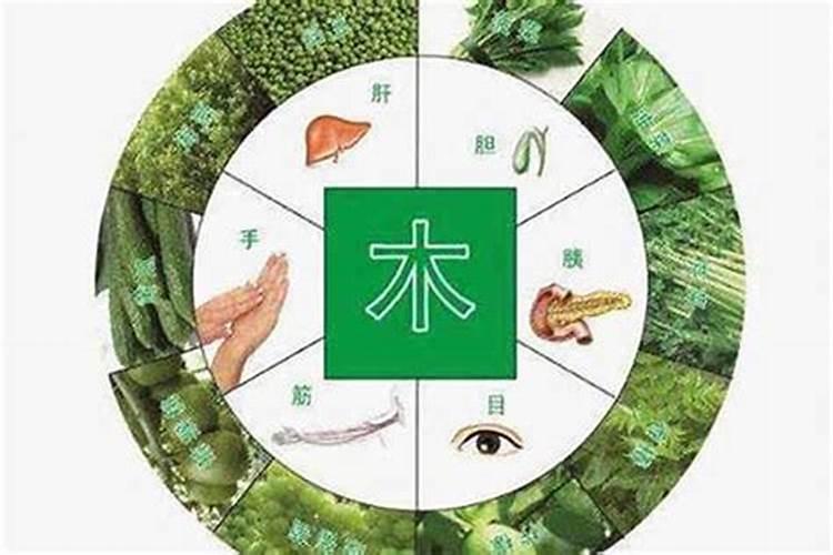 李居明 五行缺木的人应从事哪些行业好