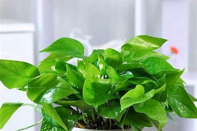 阴宅风水大富大贵有哪些特征