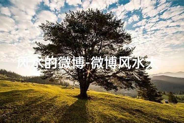 江南四大才子分别是哪四位？这四人为什么会被称作才子？