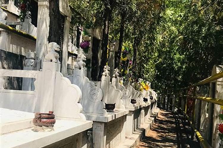 坟地风水怎么看,教你看出坟地好风水