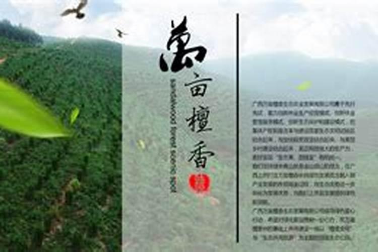 家里供奉什么香最香最旺