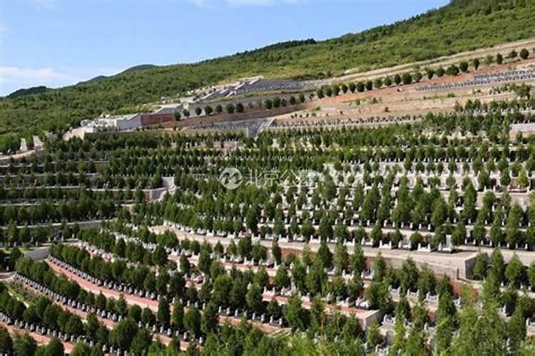 阴阳风水讲究啥,阴阳风水经典实景图解