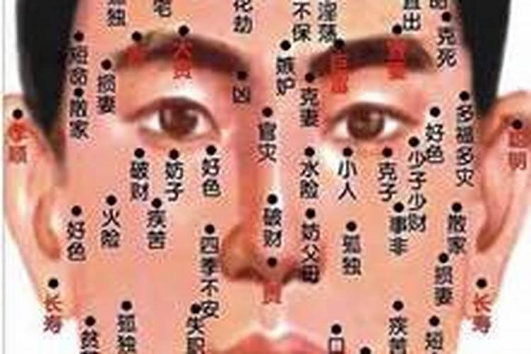 金鸡招财的摆放朝向有讲究吗