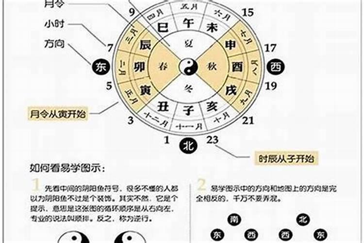 吃卷心菜有什么好处