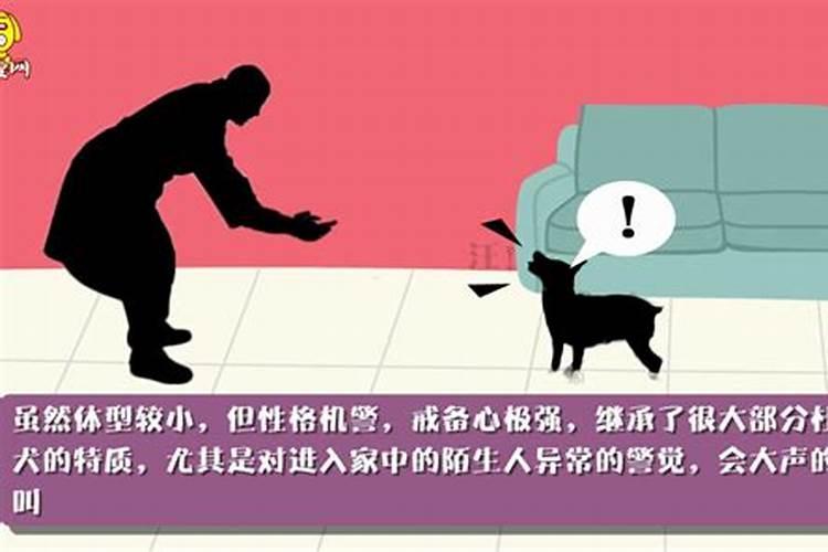 房屋风水可信可不信吗,家里看风水能信吗