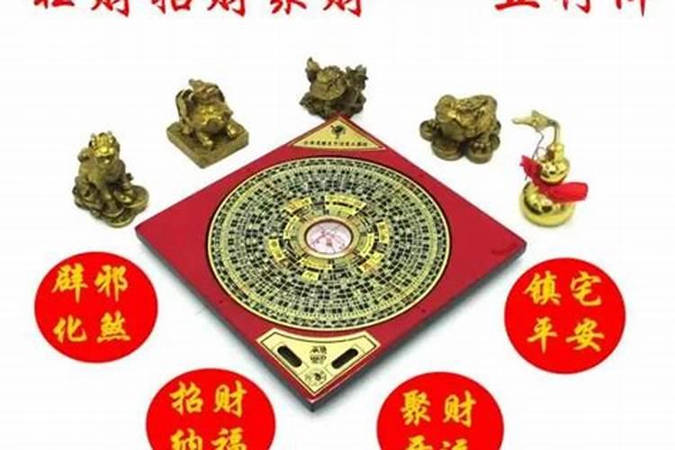 家里种什么植物风水好