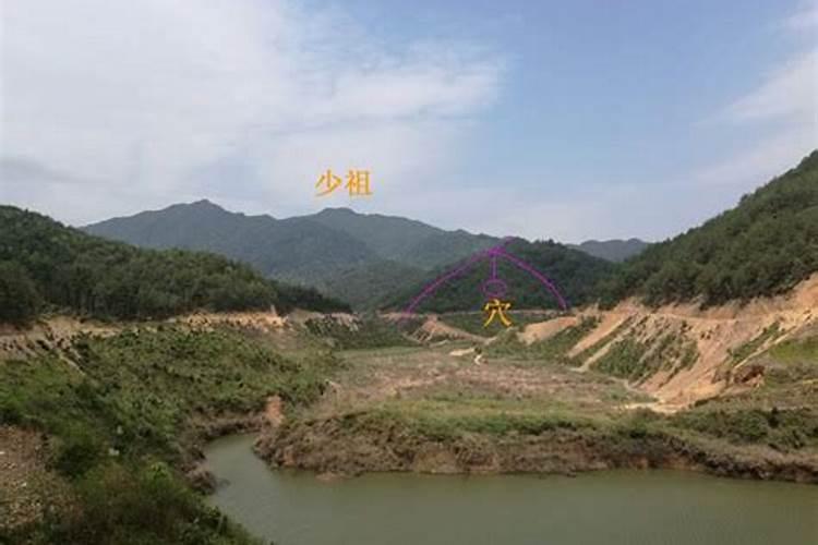 小象的寓意