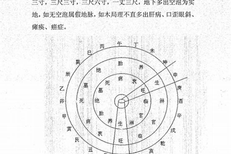 风水上放什么最旺学业