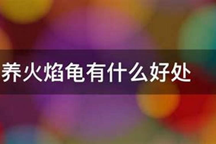 家里养龟风水好不好,家里养乌龟好吗？
