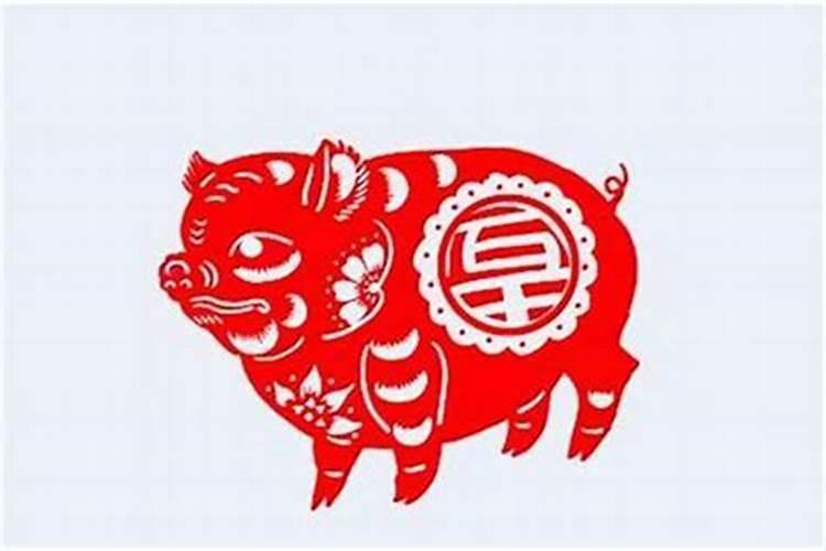 属猪的财运在什么位置