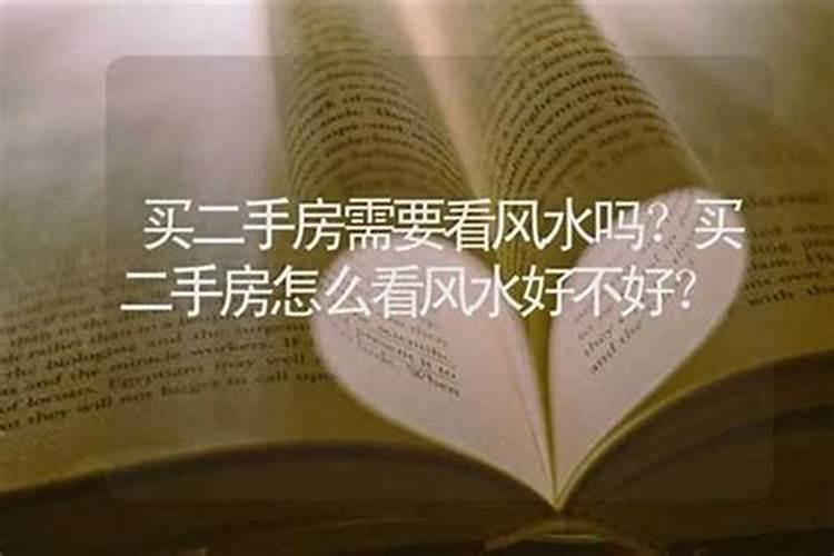 家里栽啥树有啥说法吗 家里栽啥树有什么说法