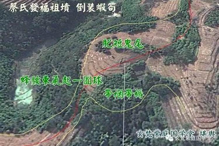 风水师终身禁忌