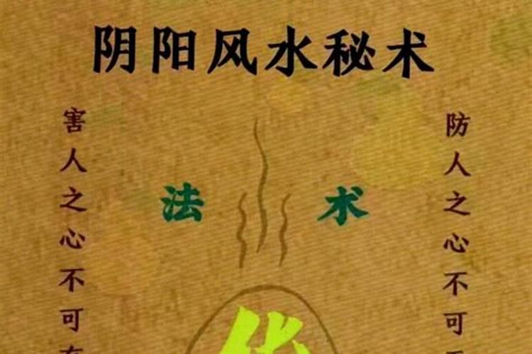 房屋正中放什么好