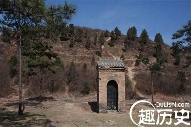 锦鲤鱼怎么养才有灵