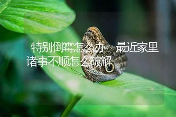 面部痣相准确吗 你相信这种方法吗