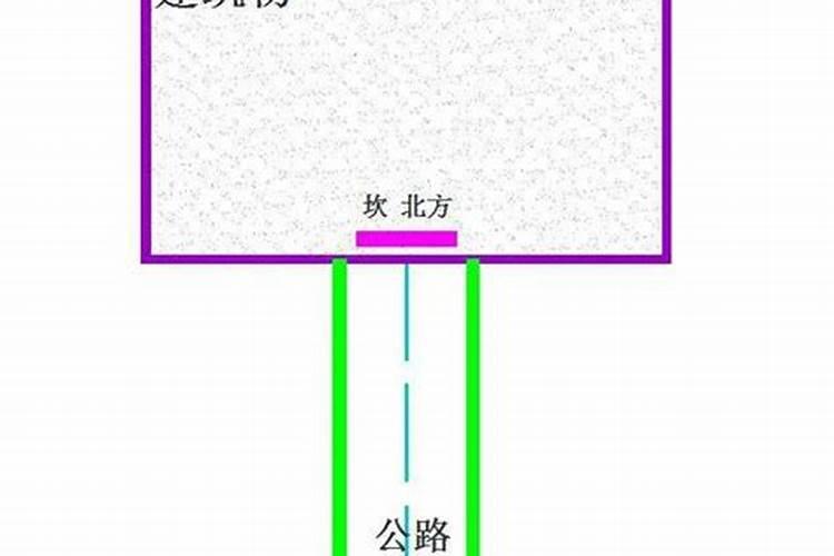 农村坐东朝西的房子开北门好不好