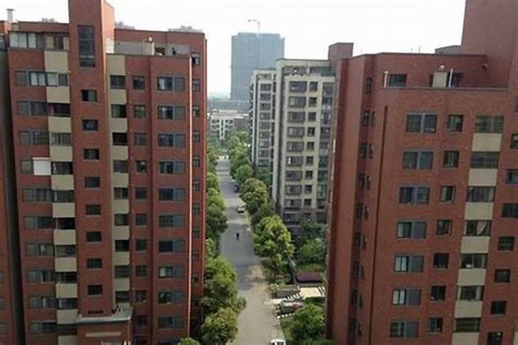 女生跟你去旅游,我说开两个房间,她说开一个房间要两张床的那种就行...