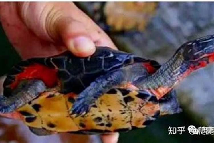 揭秘夫妻恩爱财运广的主卧风水 谨记主卧室摆置风水应注意事项