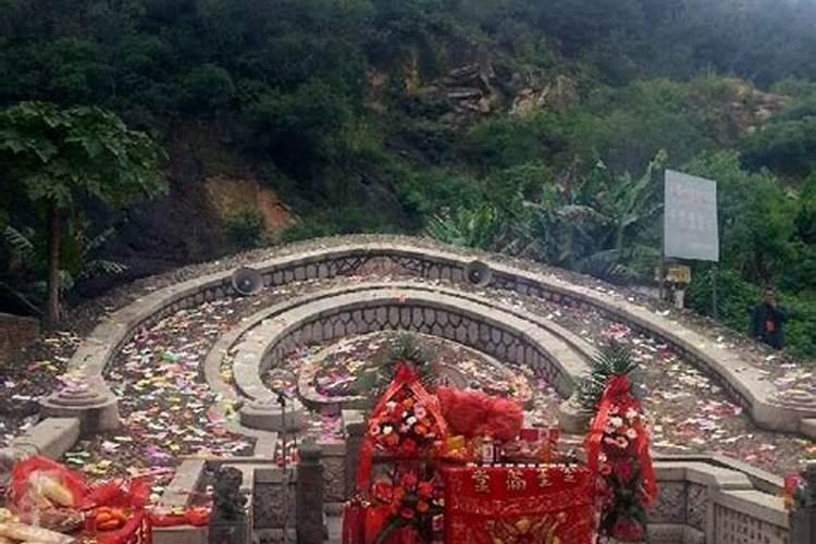 美人蕉利于风水吗栽美人蕉的禁忌