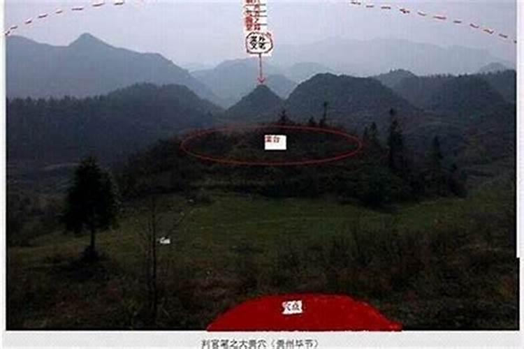 餐厅南墙什么画最旺风水