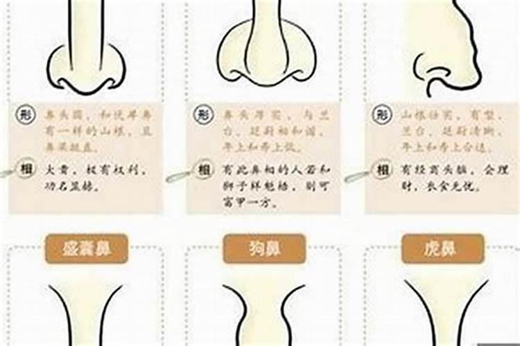 嘴唇与风水怎么看财运？